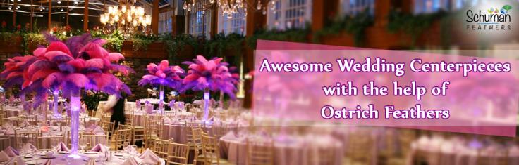 ostrich-feathers-for-wedding-centerpieces